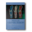 Frances-Colonial-Legacies-Memory-Identity-and-Narrative-French-and-Francophone-Studies-Hardcover.png