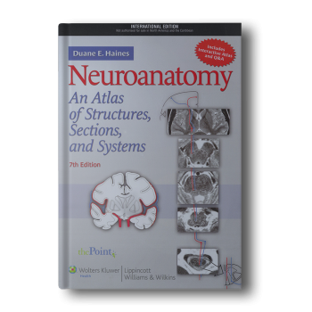 Neuroanatomy-An-Atlas-of-Structures-Sections-and-Systems-Paperback-1.png