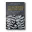 The-Coaching-Kaleidoscope-Insights-from-the-Inside-INSEAD-Business-Press-2010th-Edicion-2.png