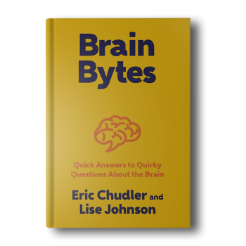 Brain-Bytes-Quick-Answers-to-Quirky-Questions-About-the-Brain.png